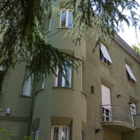DSC06245