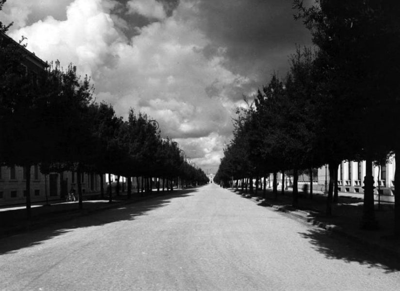 Viale della libertà. Archivio Fotografico Biblioteca A. Saffi di Forlì