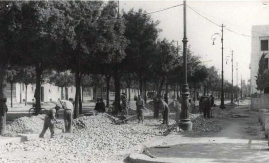Archivio Fotografico Biblioteca A. Saffi di Forlì