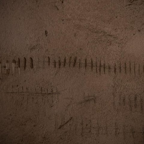 DSC03688
